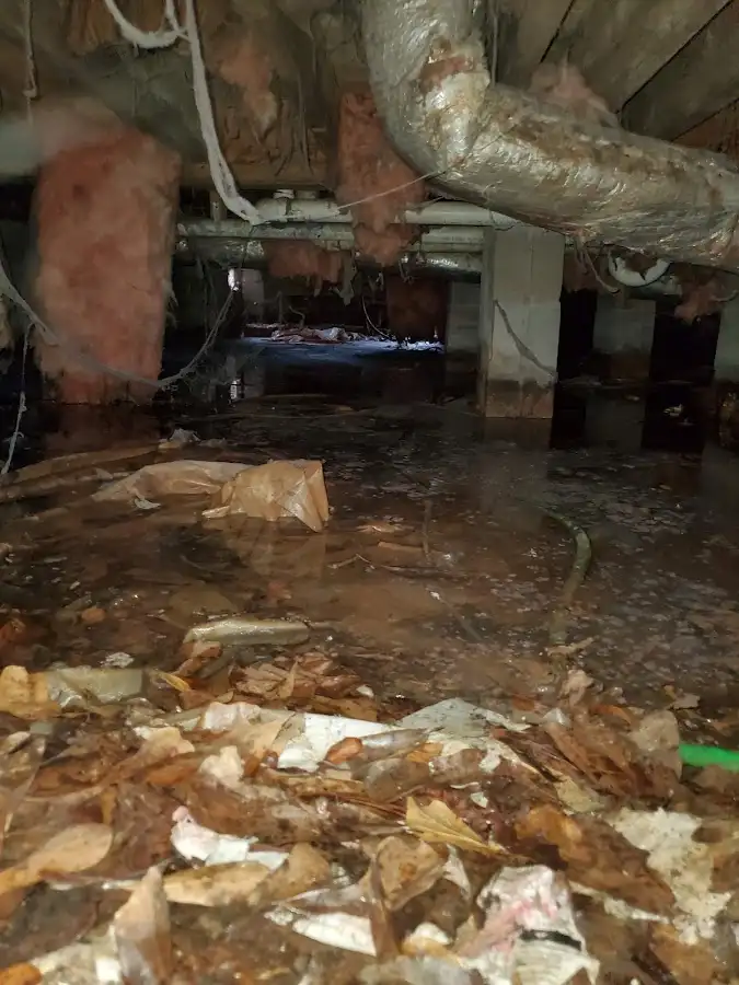 Crawl space flood assessment for Leak Detection & Repair in El Monte